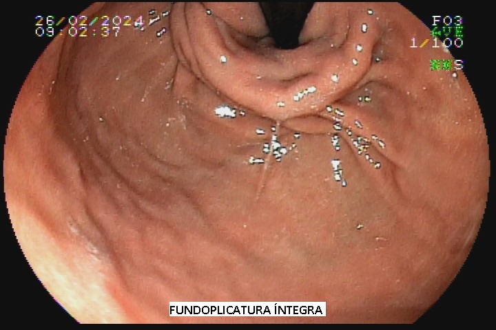 GLAUCIA RAILY M DA SILVA SANTOS(5071) #2007642980.jpg