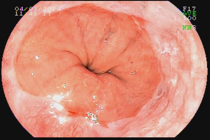 JOSE VIEIRA PIMENTA (9590) #2007645269.jpg